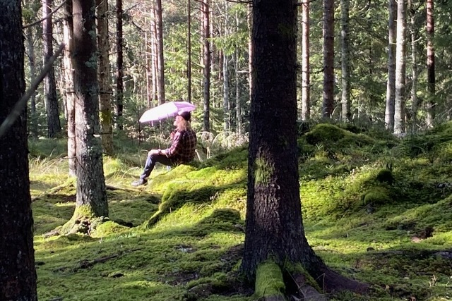 Workshopaudition: Drag, økologi og ungdom