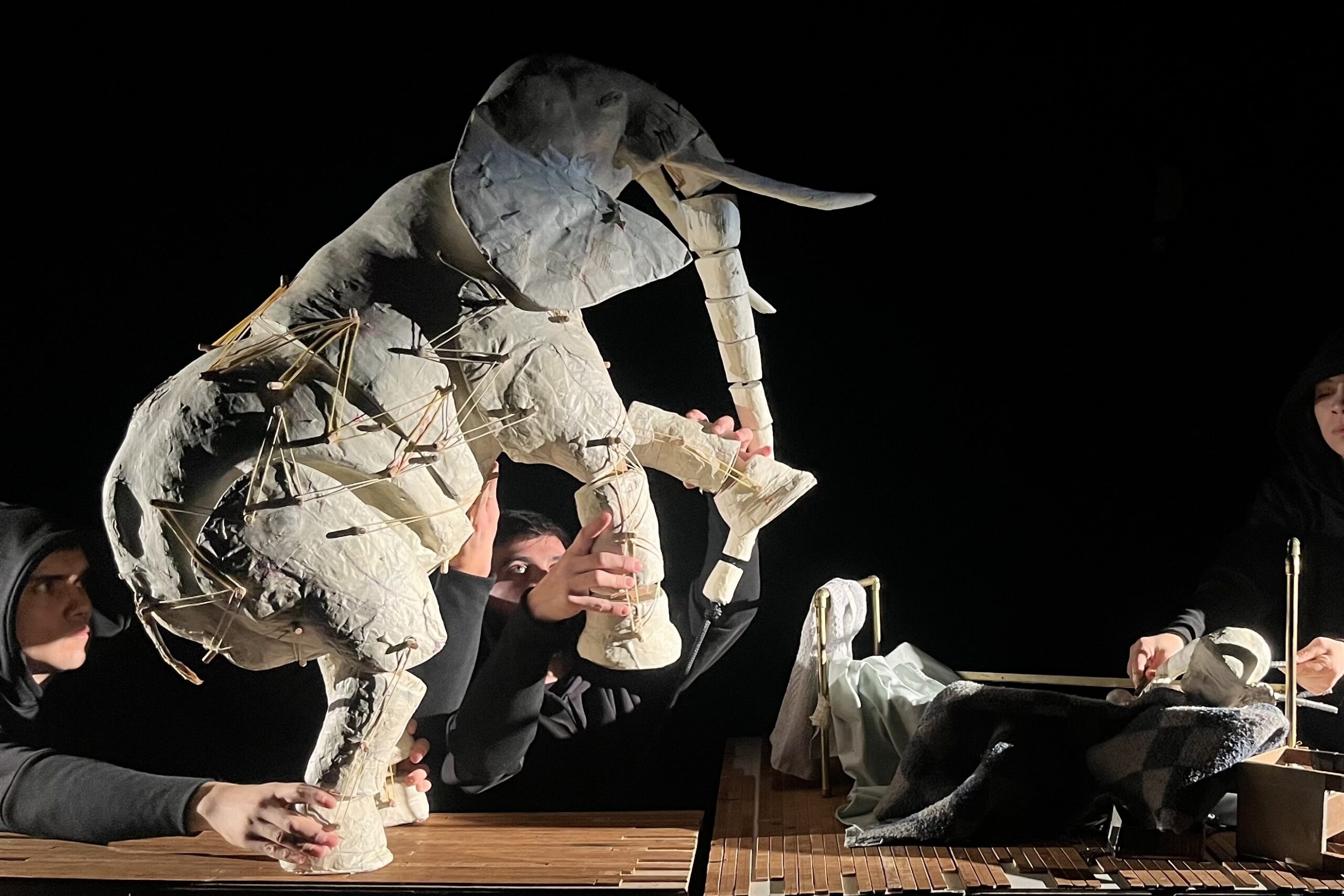 Cabeza de Elefante (Elefantens hode) – Silencio Blanco